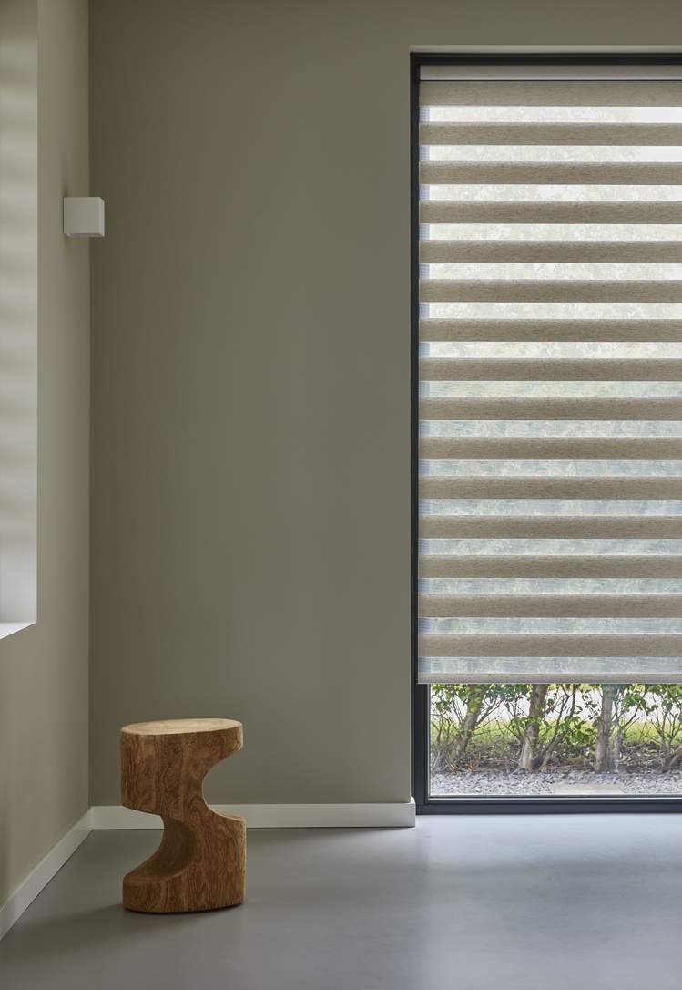 Duo roller blinds